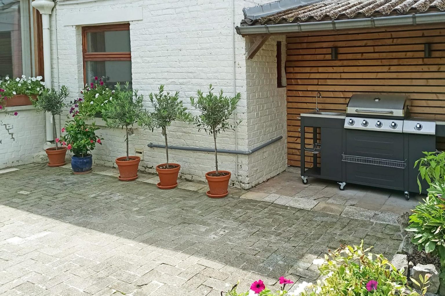 4570026_33023360.jpg