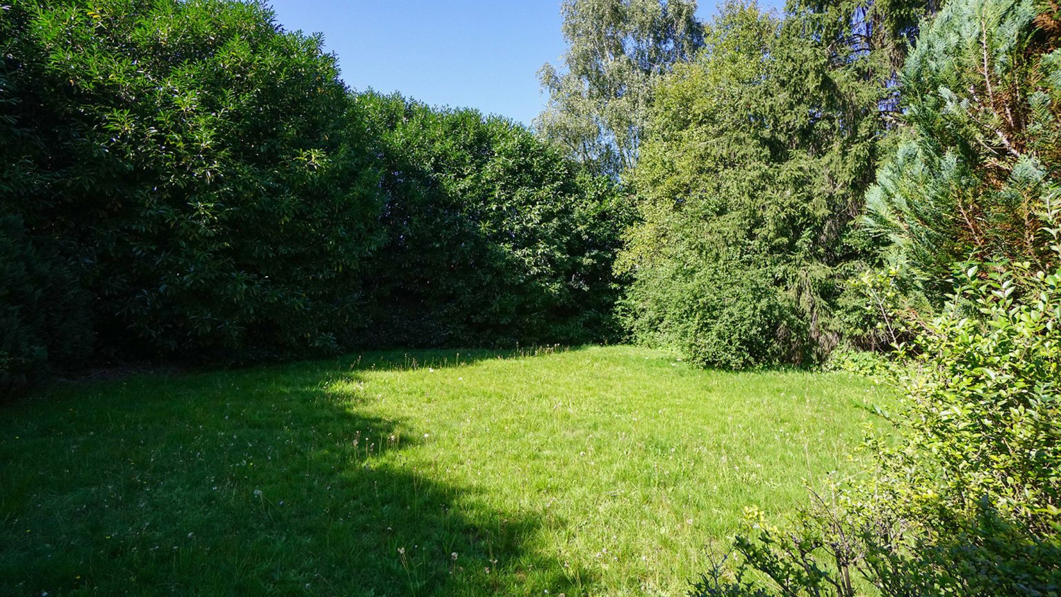 5891035_48322746.jpg