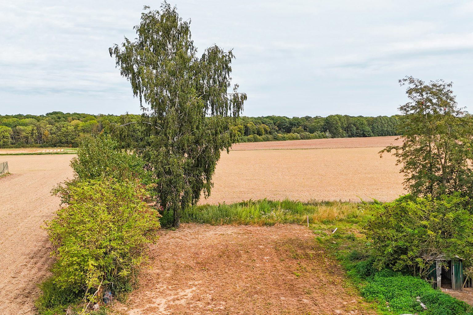 7203212_72735534.jpg
