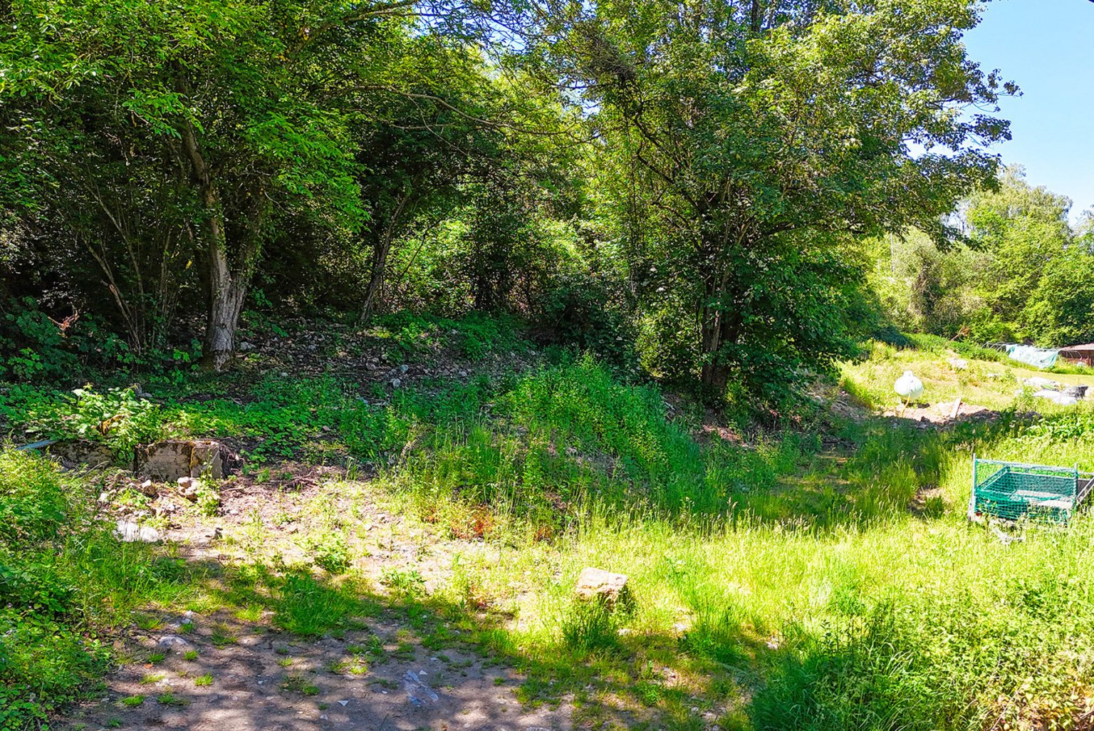 7713514_77925794.jpg